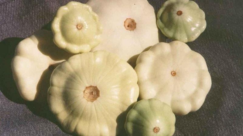 Quelle est la différence entre les courgettes et les courges: la différence d'aspect, de goût et d'autres paramètres