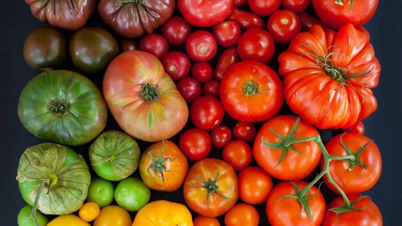 Comment faire cuire des tomates séchées au soleil à la maison: différentes façons et les recettes les plus délicieuses