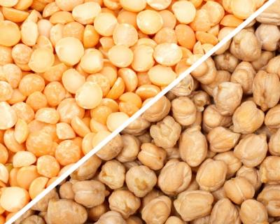 Quelle est la différence entre les pois chiches et les pois? - traitons ces haricots