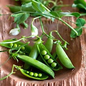 Nous vous expliquerons et vous montrerons comment sécher les pois à la maison - un guide étape par étape et des astuces de vie de femmes au foyer expérimentées