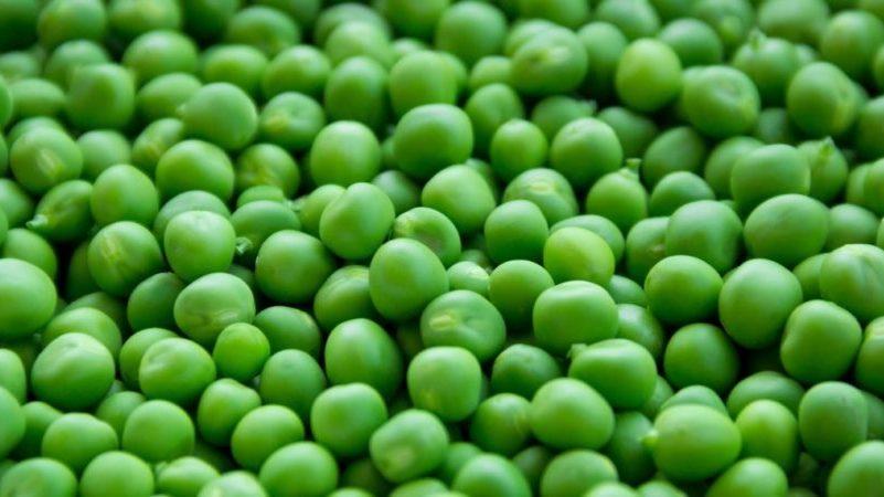 À côté de quelles cultures est-il préférable de planter des pois