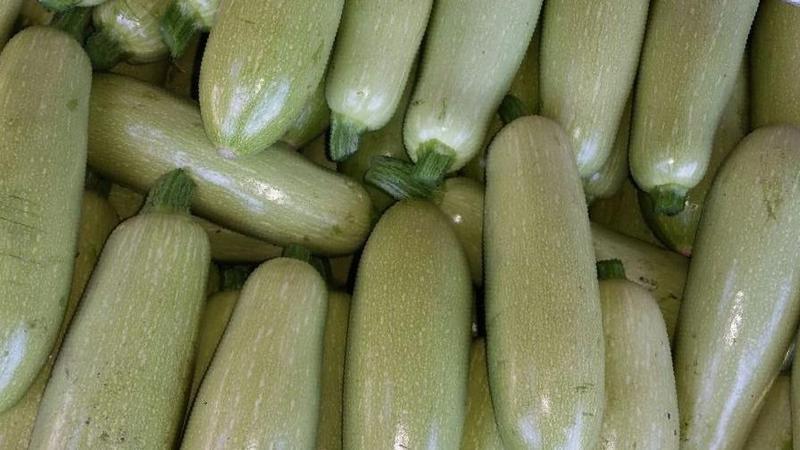 Nous sauvegardons la récolte jusqu'au printemps: comment conserver correctement les courgettes pour l'hiver et quelles conditions doivent être créées pour les légumes
