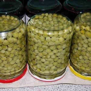 Nous conservons le goût et les propriétés utiles tout au long de l'année: gousses de pois - recettes pour l'hiver de ménagères expérimentées