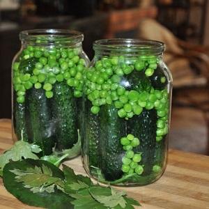 Nous conservons le goût et les propriétés utiles tout au long de l'année: gousses de pois - recettes pour l'hiver de ménagères expérimentées