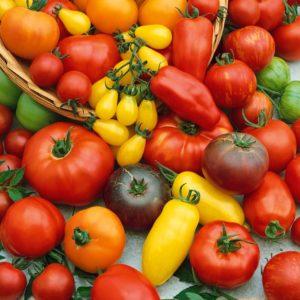 Top 15 des variétés de tomates les plus sucrées pour les serres: un aperçu des meilleures et aide à choisir le bon type