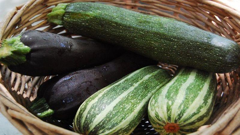 Quoi et comment conserver les courgettes pendant une longue période - nous créons des conditions idéales