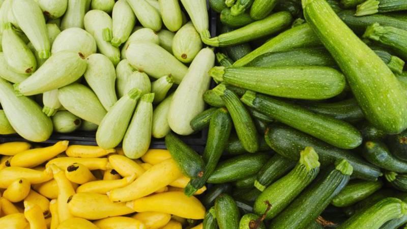 Quoi et comment conserver les courgettes pendant une longue période - nous créons des conditions idéales