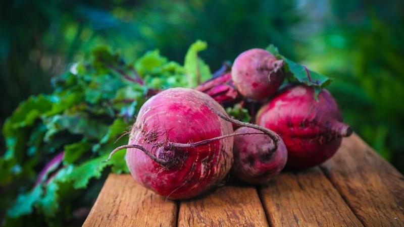 Délicieux guérisseur directement du jardin - betteraves bouillies: avantages et dommages pour le foie
