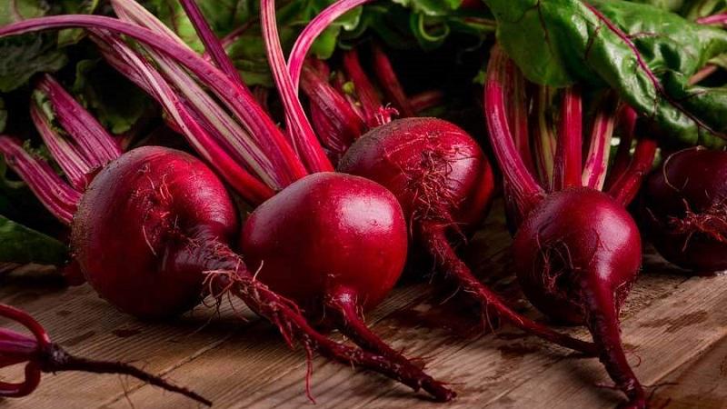 Délicieux guérisseur directement du jardin - betteraves bouillies: avantages et dommages pour le foie