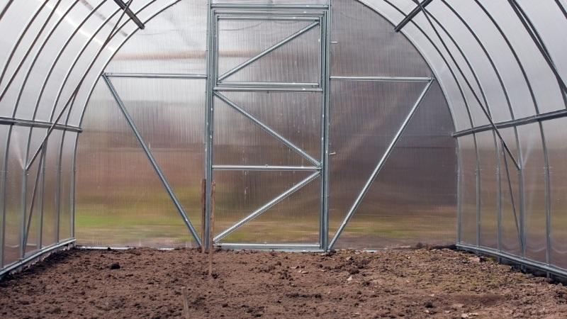 Nous cultivons une récolte record de tomates dans une serre en polycarbonate: plantation et entretien, conseils d'agronomes