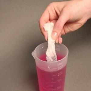 Nous cultivons une récolte record de tomates dans une serre en polycarbonate: plantation et entretien, conseils d'agronomes