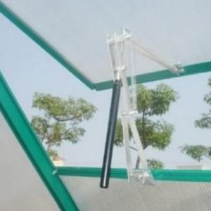 Nous cultivons une récolte record de tomates dans une serre en polycarbonate: plantation et entretien, conseils d'agronomes