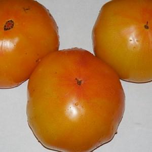 Une belle personne dans votre jardin est la tomate Golden Queen: mûre tôt, lumineuse et tellement adorée par les résidents d'été esthètes