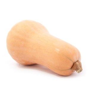 Variété de citrouille parfumée à la muscade Perle: ce qui est bon et pourquoi il devrait être cultivé sur votre site