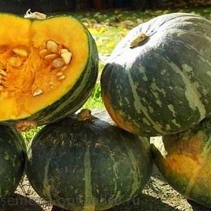 Les variétés de citrouilles vertes les plus populaires et les caractéristiques de leur culture