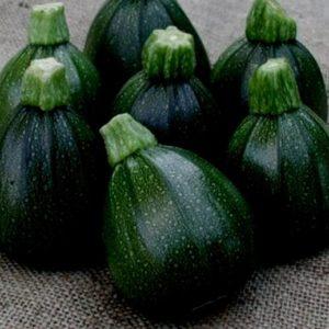 Avantages et inconvénients des courgettes rondes que chaque résident d'été devrait connaître