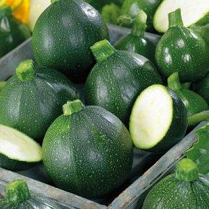 Avantages et inconvénients des courgettes rondes que chaque résident d'été devrait connaître