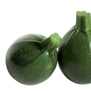 Avantages et inconvénients des courgettes rondes que chaque résident d'été devrait connaître
