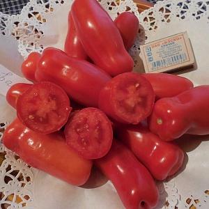 Tomate Casanova de mi-saison, à haut rendement et de forme inhabituelle: commentaires des agriculteurs et conseils pour la culture