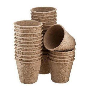 Tomate Casanova de mi-saison, à haut rendement et de forme inhabituelle: commentaires des agriculteurs et conseils pour la culture