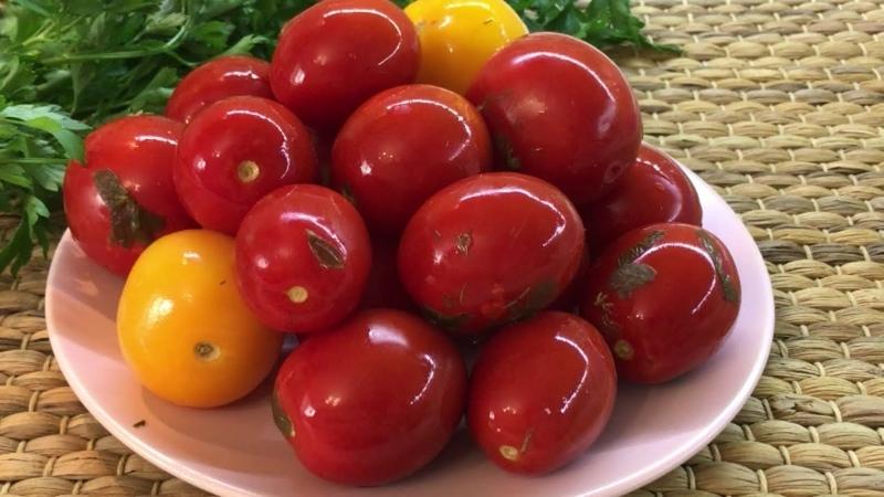 Les meilleures recettes express sur la façon de mariner les tomates dans un sac rapidement et savoureusement: ingrédients, instructions et conseils des ménagères