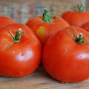 Idéal pour les serres, les tomates à maturité précoce et à haut rendement Blagovest: comment la cultiver correctement