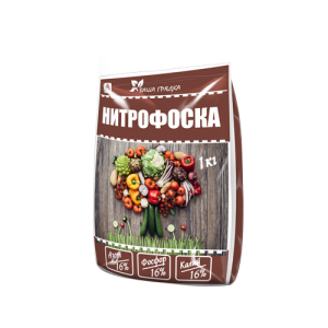Sans prétention en soins et citrouille au goût sucré Sweetie: avantages et inconvénients de la variété