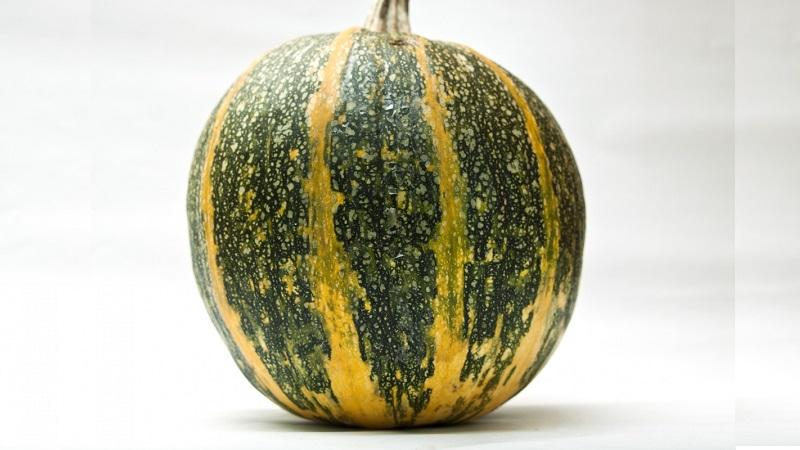 Caractéristiques de la culture de la citrouille gymnospermeuse et des graines auxquelles vous devez faire attention