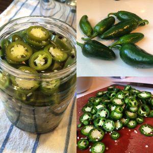 Qu'est-ce que le piment jalapeno, comment est-il cultivé et utilisé