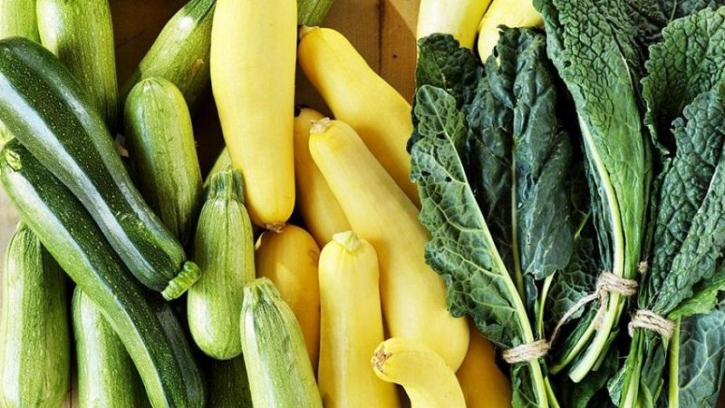Quelle est la différence entre les courgettes et les courgettes en apparence, en goût et en d'autres propriétés: nous comprenons en détail et ne confondons plus