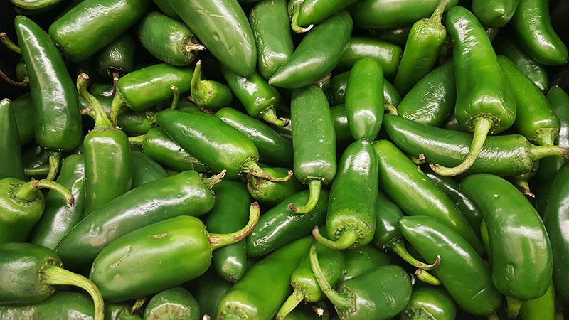 Qu'est-ce que le piment jalapeno, comment est-il cultivé et utilisé