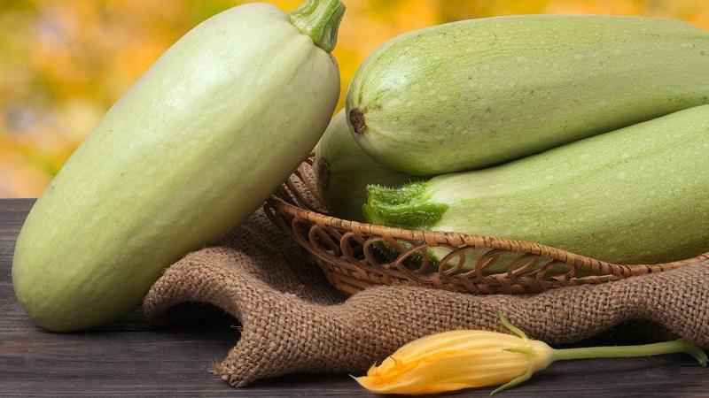 Comment boire du jus de courgette: avantages et inconvénients pour le corps, règles d'utilisation en médecine traditionnelle et en cosmétologie