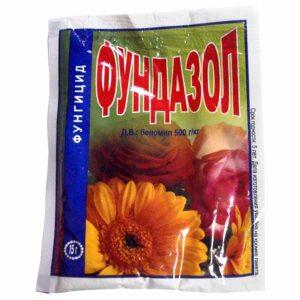 Comment identifier et se débarrasser de la maladie septorienne de la tomate: remèdes efficaces et méthodes de traitement alternatives