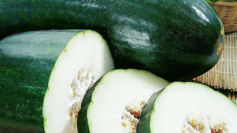 Propriétés médicinales de la courge en cire et caractéristiques de sa culture