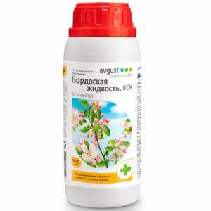 Instructions pour traiter les framboises en été contre les maladies et les ravageurs