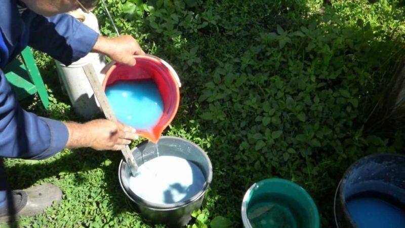 Nous traitons et prévenons les maladies de la tomate: comment traiter les tomates avec la bouillie bordelaise - instructions étape par étape pour les débutants