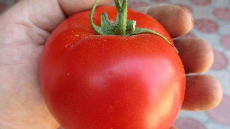 Description détaillée des tomates Linda F1 - caractéristiques des fruits et des graines