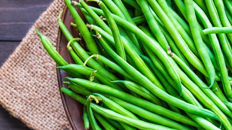 Les bienfaits des gousses de haricots: comment bien collecter, préparer et préparer une boisson curative