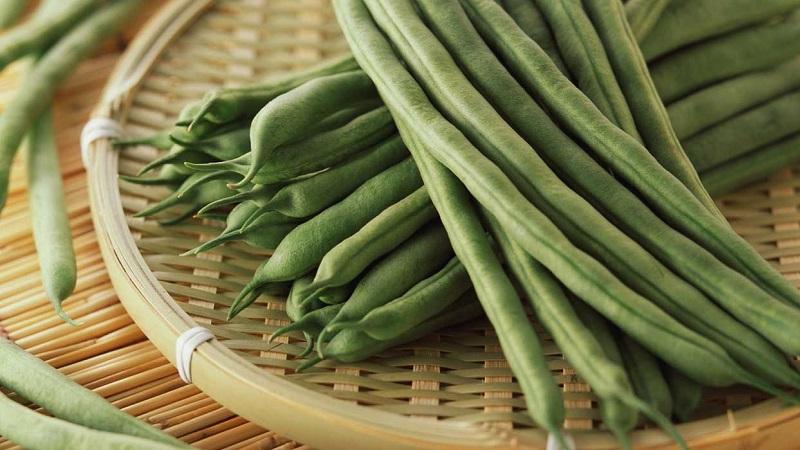 Les bienfaits des gousses de haricots: comment bien collecter, préparer et préparer une boisson curative