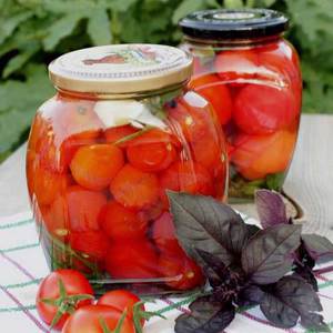Les recettes les plus délicieuses de tomates cerises en conserve: les meilleures préparations pour l'hiver à partir de tomates miniatures
