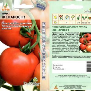 Stable et sans prétention dans les soins, tomate persistante Zhenaros - un cadeau des éleveurs néerlandais