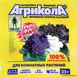 L'une des variétés les plus populaires parmi les agriculteurs est la betterave de Pablo