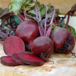 L'une des variétés les plus populaires parmi les agriculteurs est la betterave de Pablo