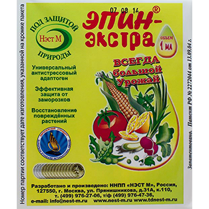 Un invité français sur votre site - Potiron Muscat de Provence: ce qui est bon et comment le cultiver correctement