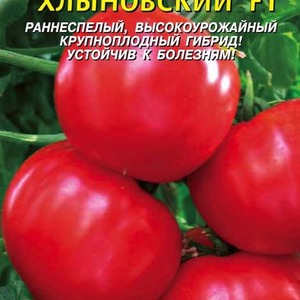 Tomate simple et sans tracas Khlynovsky: caractéristiques et description de la variété