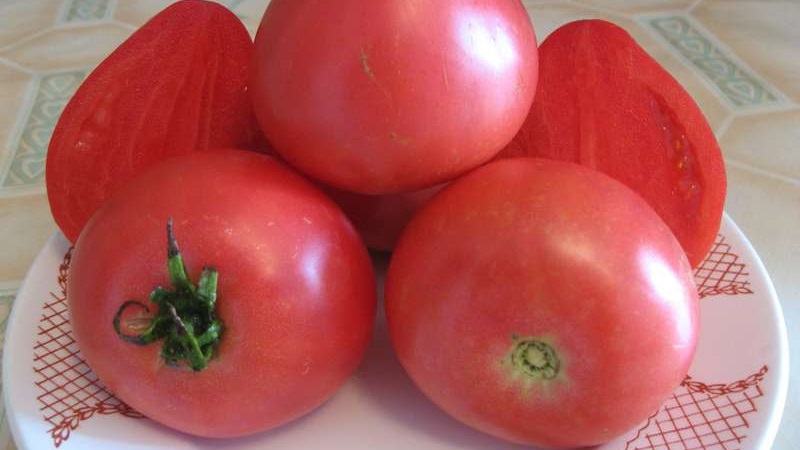 Une variété hybride précoce de sélectionneurs sibériens - Tomates Ob dômes et commentaires des résidents d'été sur ces tomates