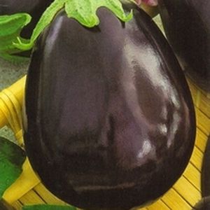 Examen de la variété d'aubergine Casse-Noisette: avantages et inconvénients, nuances de culture