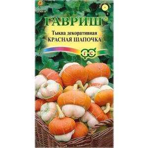 À quoi ressemble la citrouille décorative en forme de turban Little Red Riding Hood et pourquoi la cultiver?