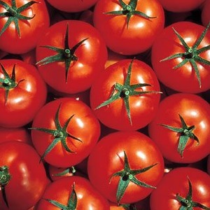 Idéal pour les climats frais, mais donnant toujours une riche récolte de tomates Martha F1
