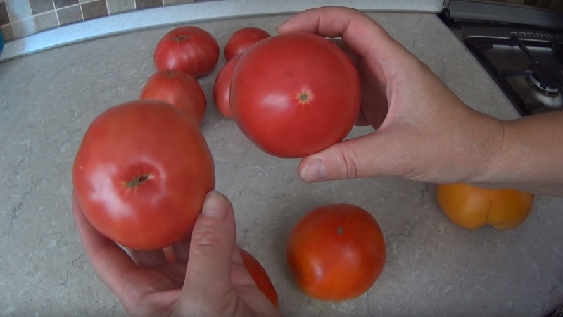 Comment préparer les graines de tomates à la maison et en obtenir une récolte d'hiver - conseils de jardiniers expérimentés